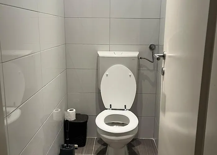 Lini * Сараево